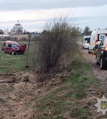 На Львівщині водій автівки не впорався з керуванням та злетів з дороги