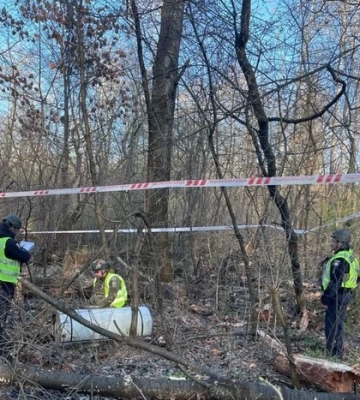У лісі Деснянського району виявлено фрагмент ракети «Іскандер-К» 