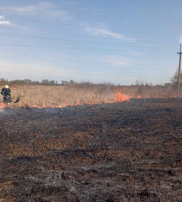 За добу на Рівненщині загасили майже 10 пожеж сухостою