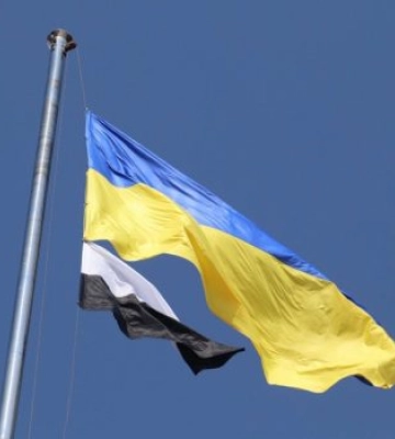 Миколаївський «Прапор Надії» можуть визнати на державному рівні