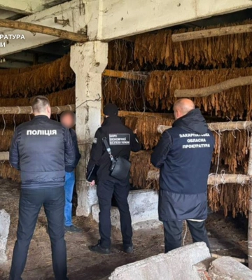 Тютюнова схема на мільйони: на Закарпатті судитимуть депутата та спільників за нелегальний бізнес