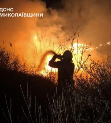 Миколаївщина у вогні: за добу вигоріло понад 1,5 гектара екосистем