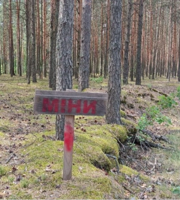 Пішов по траву: що відомо про чоловіка, який підірвався на міні у прикордонні на Волині