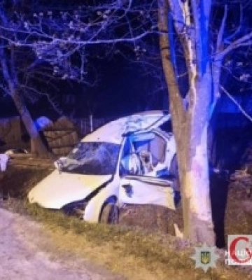 Смертельна ДТП на Звягельщині: п’яний водій влетів у дерево, загинула 12-річна дитина