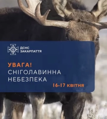 Підтримка родин Героїв: в Ужгороді виділили понад 2,2 млн грн допомоги — кому нададуть виплати