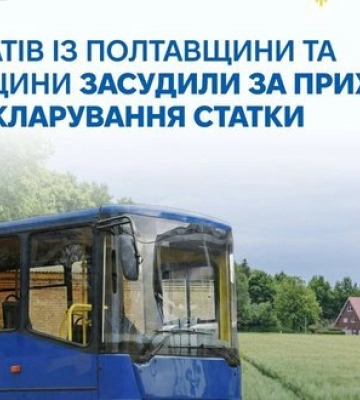 Не задекларировали дом, автобусы и десятки объектов: суды наказали двух депутатов местных советов