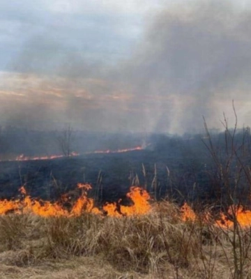 У Львові прогнозують високу пожежну небезпеку