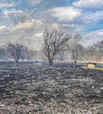 На Львівщині під час пожежі згоріли чотири будинки та загинула людина (ФОТО)