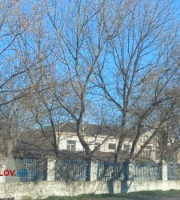 Міська влада планує ліквідувати три дитячі садочки