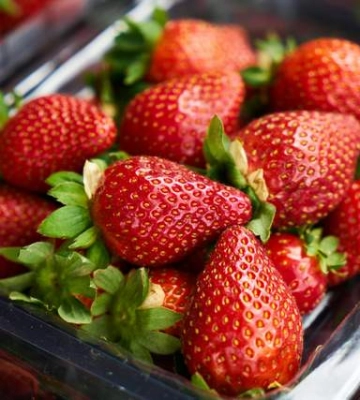 Рекордні ціни. На Закарпатті вже продають місцеву полуницю