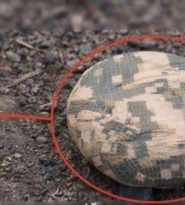 На Херсонщині поліцейський підірвався на міні «Пряник»