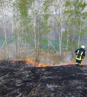 Вогонь охопив понад 1600 «квадратів»: за добу на Черкащині ліквідували шість пожеж в екосистемах