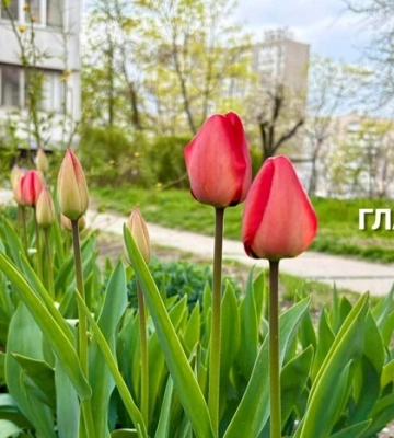 В Україні місцями невеликий дощ: погода на 18 квітня 2026