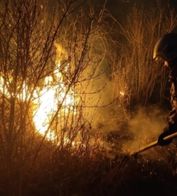 Горіли суха трава, чагарники й очерет: на Волині загасили 5 пожеж 