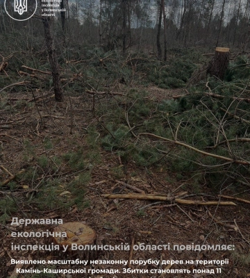 У лісі на Волині знайшли секретну землянку з піччю (відео)