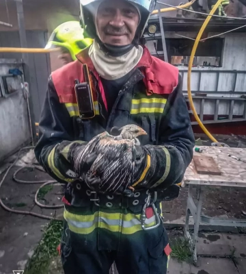 На Тячівщині рятувальники ліквідували пожежу в господарській споруді