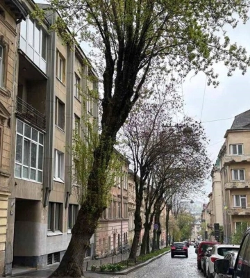 На Львівщині хотіли вкрасти гроші на ремонті дороги