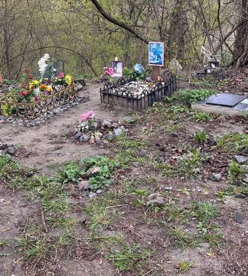 У Житомирі немає офіційного кладовища для тварин