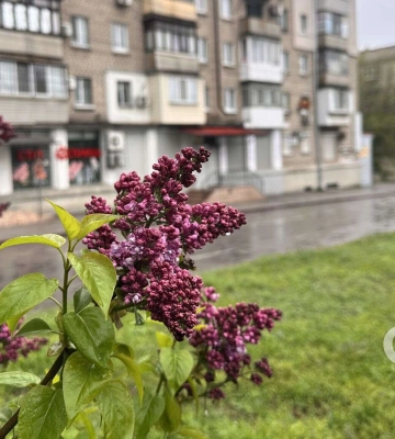 Погода та прикмети на вівторок, 21 квітня 2026 року 