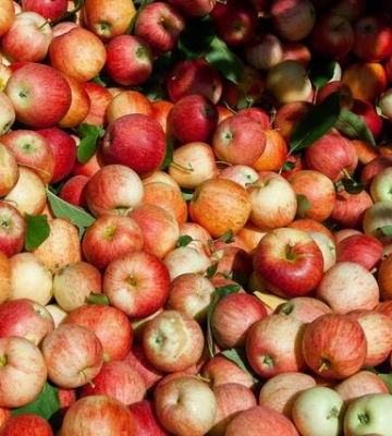 Імпорт із Південної півкулі посилить тиск на українське яблуко – USPA Fruit