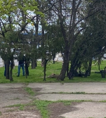 В Одесі СБУ затримала військовослужбовців Пересипського ТЦК та СП