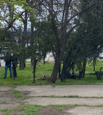 В Одессе со стрельбой и погоней задержали сотрудников ТЦК – СМИ