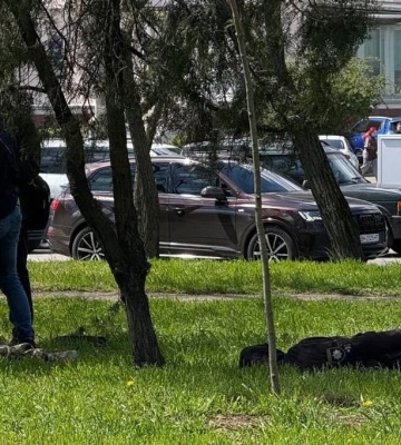 Стрельба и погоня в Одессе: СБУ задержала сотрудников ТЦК