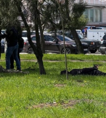 З погонею та стріляниною: СБУ в Одесі затримувало ТЦК - те, що у них знайшли приголомшило всіх, відео