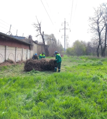 Понад 1400 людей вийшли на масштабну толоку в Одесі