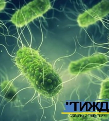 У Тростянецькій громаді зареєстровано спалах сальмонельозу у побуті