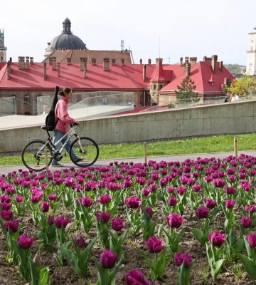 Де у Львові зробити найкращі весняні фото: сакури, магнолії та тюльпани