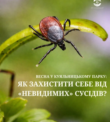 На Одещині розпочався сезон активності небезпечних паразитів