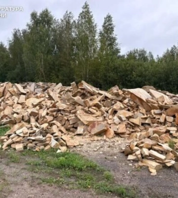Воровали недра "вагонами": на Житомирщине будут судить группу лиц за незаконную добычу песчаника
