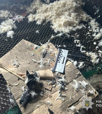 На Тернопільщині через нещасний випадок загинув прикутий до ліжка літній чоловік