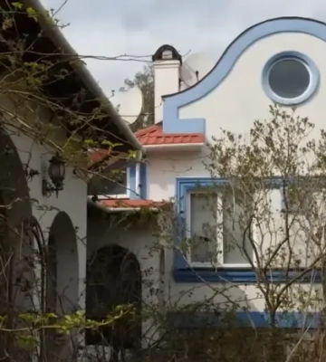Маєток Таїсії Повалій піде з молотка на користь ЗСУ. Журналісти показали інтер’єри дому співачки-зрадниці
