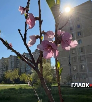 У Києві оголошено жовтий рівень небезпеки: на місто насуваються заморозки