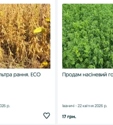 Скільки коштує зерно для посівної на Волині у 2026 році: актуальні ціни