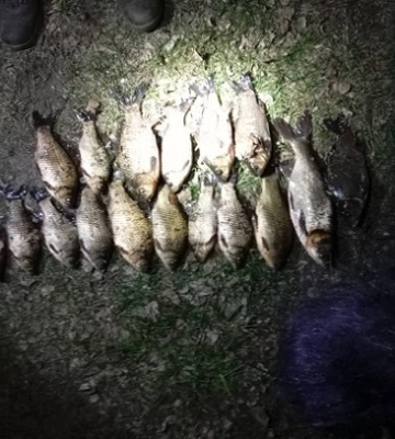 На Волині спіймали браконьєра з сітками та незаконним уловом на понад 31 тисячу гривень