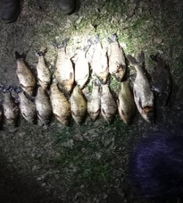 На Волині спіймали браконьєра з сітками та незаконним уловом на понад 31 тисячу гривень