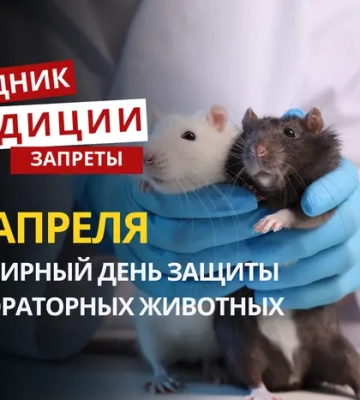 24 апреля: какой сегодня праздник, традиции и запреты