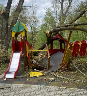 У Новоселиці дерево впало на дитячий майданчик: двоє дітей отримали важкі травми