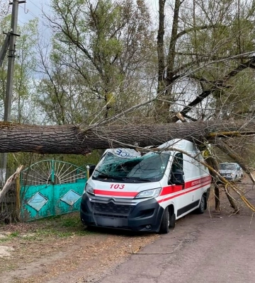 На Коростенщині дерево впало на автомобіль «швидкої», що приїхав на виклик