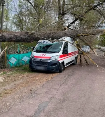 На дорогах Житомирської області за тиждень усунули 95 тис. кв. м вибоїн