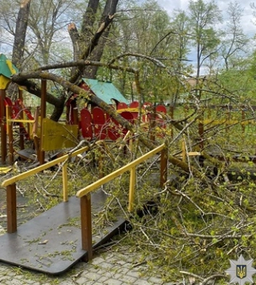 В Буковине деревья упали на детскую площадку: пострадали двое детей