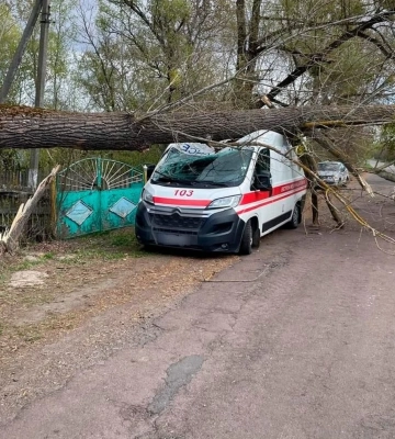На Коростенщині дерево впало на автомобіль «швидкої», що приїхав на виклик
