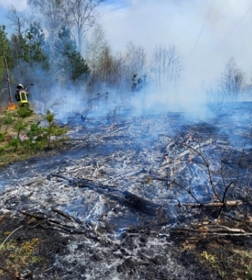 На Волині загасили кілька пожеж у лісах та чагарниках 