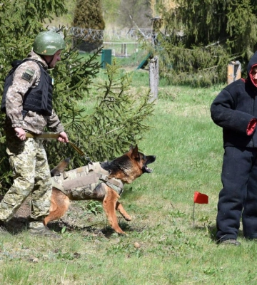 На Волині визначили найкращих кінологів з пухнастими напарниками