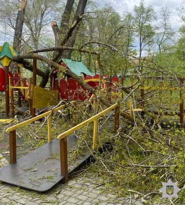 Деревья упали на детскую площадку на Буковине, травмированы две девочки