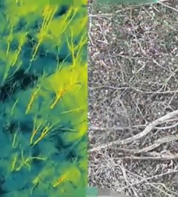 Поранений рашист привів дронарів 58-ї бригади до спостережного пункту окупантів на Харківщині. ВIДЕО