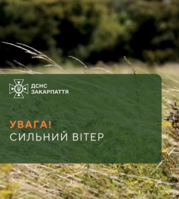 Штормове попередження: Закарпаття накриє небезпечний вітер уже завтра — що потрібно знати просто зараз
